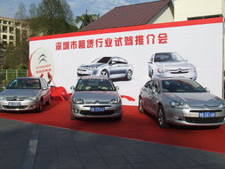 強強聯(lián)手 東風雪鐵龍汽車租賃行業(yè)試駕會圓滿舉行